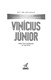 Vinicius Junior Ultimate Football Heroes by Matt Oldfield