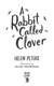 A rabbit called Clover by Helen Peters