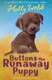 Buttons the runaway puppy by Holly Webb