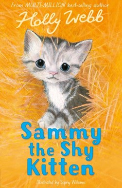 Sammy The Shy Kitten P/B by Holly Webb