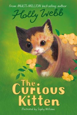 Curious Kitten P/B by Holly Webb