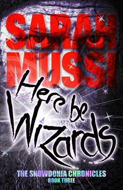 Here be wizards by Sarah Mussi