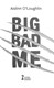 Big Bad Me P/B by Aislinn O'Loughlin