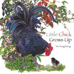 Little Chick grows up by Hongcheng Yu