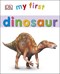 My first dinosaur by Louise Tucker