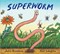 Superworm Gift Edition Board Book by Julia Donaldson