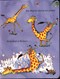Giraffes Cant Dance Board Book by Giles Andreae
