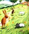 Hop Little Bunnies P/B by Laura Hughes