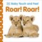 Roar! Roar! by Dawn Sirett