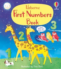 Usborne first numbers book by Mary Cartwright