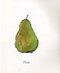 Orange pear apple bear by Emily Gravett