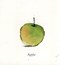 Orange Pear Apple Bear H/B by Emily Gravett