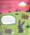 Rhyming Rabbit N/E P/B by Julia Donaldson