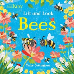 Bees by Tracy Cottingham