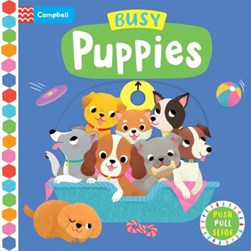 Busy puppies by Yi-Hsuan Wu