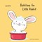 Bathtime for Little Rabbit by Jörg Mühle