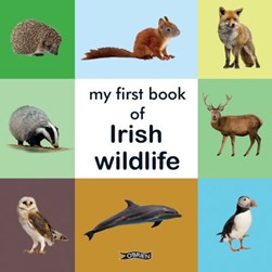 My First Book of Irish Wildlife Board Book by 