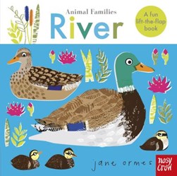 River by Jane Ormes