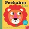 Peekaboo Lion Boardbook by Camilla Reid