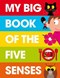 My big book of the five senses by 