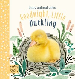 Goodnight, Little Duckling by A. J. Wood