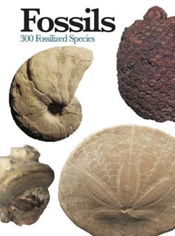 Fossils by Carl Mehling