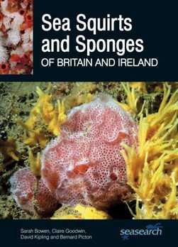 Sea squirts and sponges of Britain and Ireland by Sarah Bowen