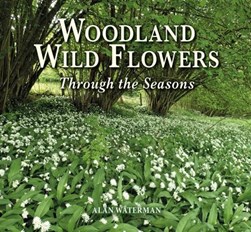 Woodland wild flowers by Alan Waterman