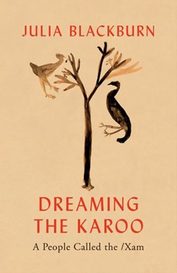 Dreaming the karoo by Julia Blackburn