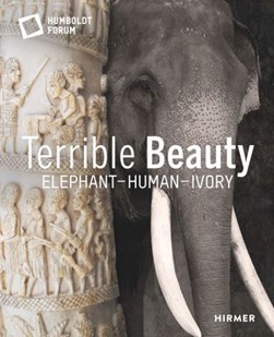 Terrible beauty by 