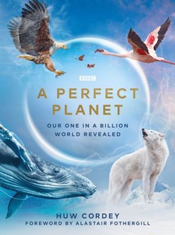 A perfect planet by Huw Cordey