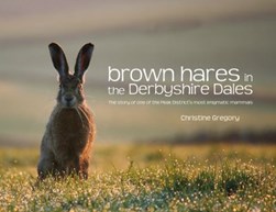 Brown hares in the Derbyshire Dales by Christine Gregory