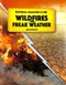 Wildfires and freak weather by Ben Hubbard