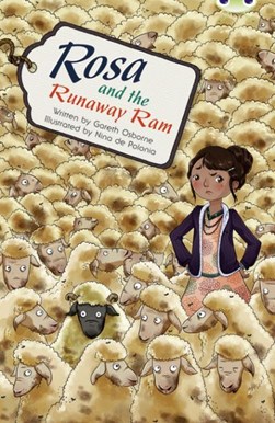 Bug Club Independent Fiction Year 5 Blue B Rosa and the Runa by Gareth Osborne