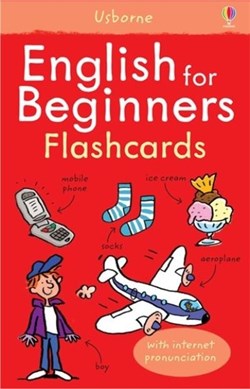 English for Beginners Flashcards by Sue Meredith