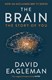 Brain  P/B by David Eagleman