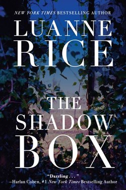 The shadow box by Luanne Rice