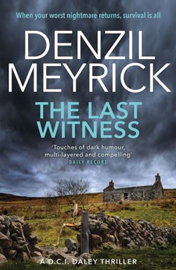The last witness by Denzil Meyrick