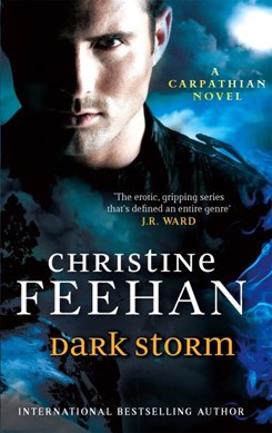Dark storm by Christine Feehan