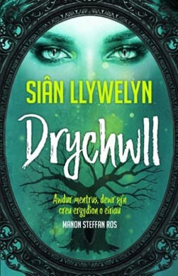 Drychwll by Siân Llywelyn