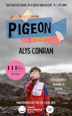 Pigeon by Alys Conran