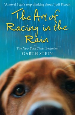 Art Of Racing In The Rain  P/B by Garth Stein