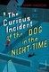 Curious Incident Of The Dog In The Night Time P/B by Mark Haddon
