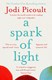 A Spark of Light P/B by Jodi Picoult