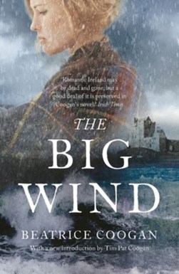 The big wind by Beatrice Coogan