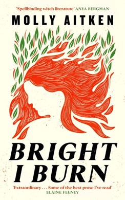 Bright I Burn H/B by Molly Aitken