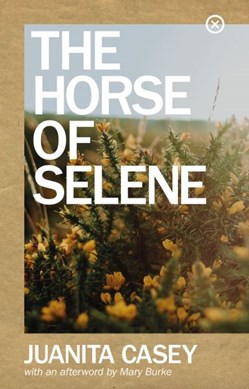 The horse of Selene by Juanita Casey