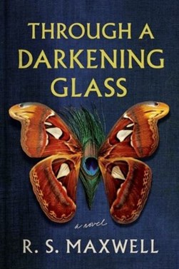 Through a darkening glass by R. S. Maxwell