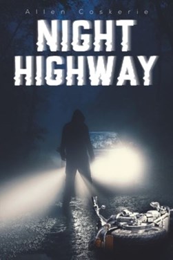 Night highway by Allen Coskerie