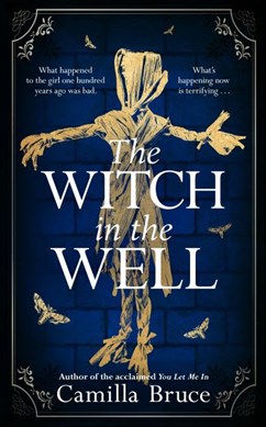 The witch in the well by Camilla Bruce